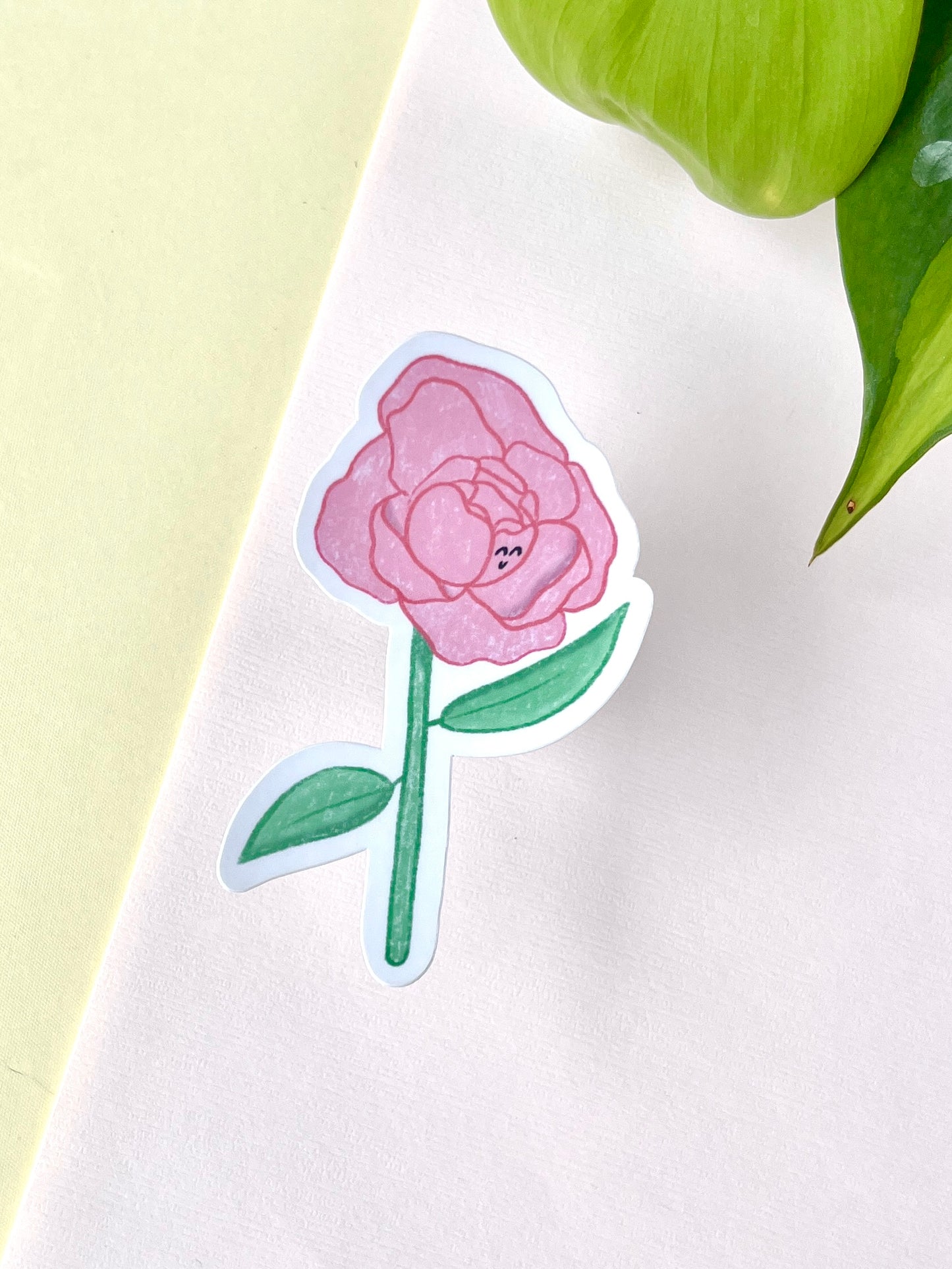 Peony Flower Die Cut Sticker – Soft Bloom Collection (Color Variants) 🥑