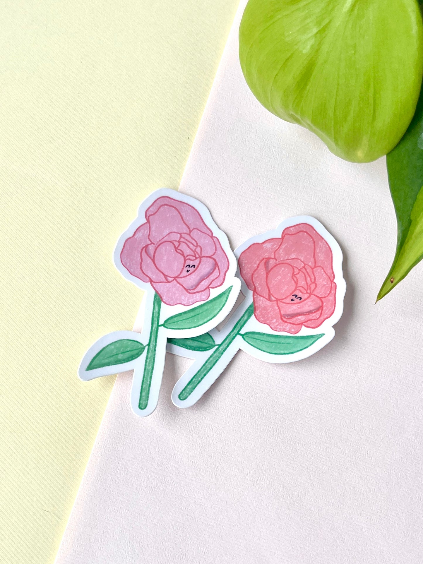 Peony Flower Die Cut Sticker – Soft Bloom Collection (Color Variants) 🥑